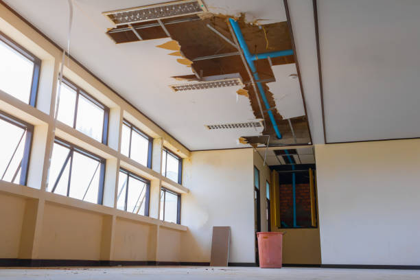 Best Water damage restoration near me  in Vineyard, UT