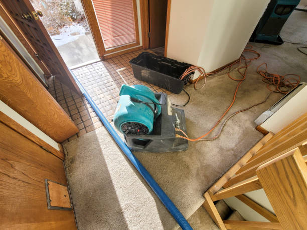 Professional Water damage restoration in Vineyard, UT