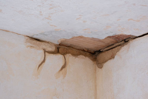 Best Flood restoration services  in Vineyard, UT