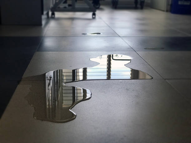 Best Water damage cleanup near me  in Vineyard, UT