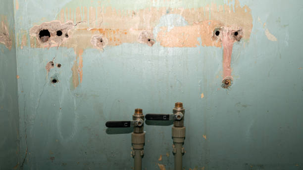 Best Ceiling water damage repair  in Vineyard, UT