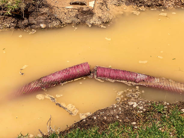 Best Commercial water damage restoration  in Vineyard, UT