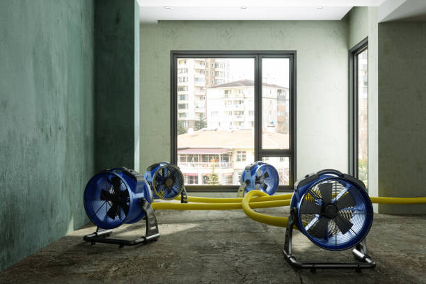 Best Professional water damage repair  in Vineyard, UT